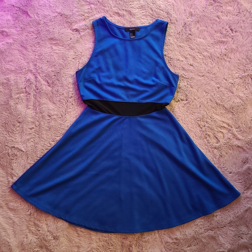 Forever21 mesh cutout skater dress